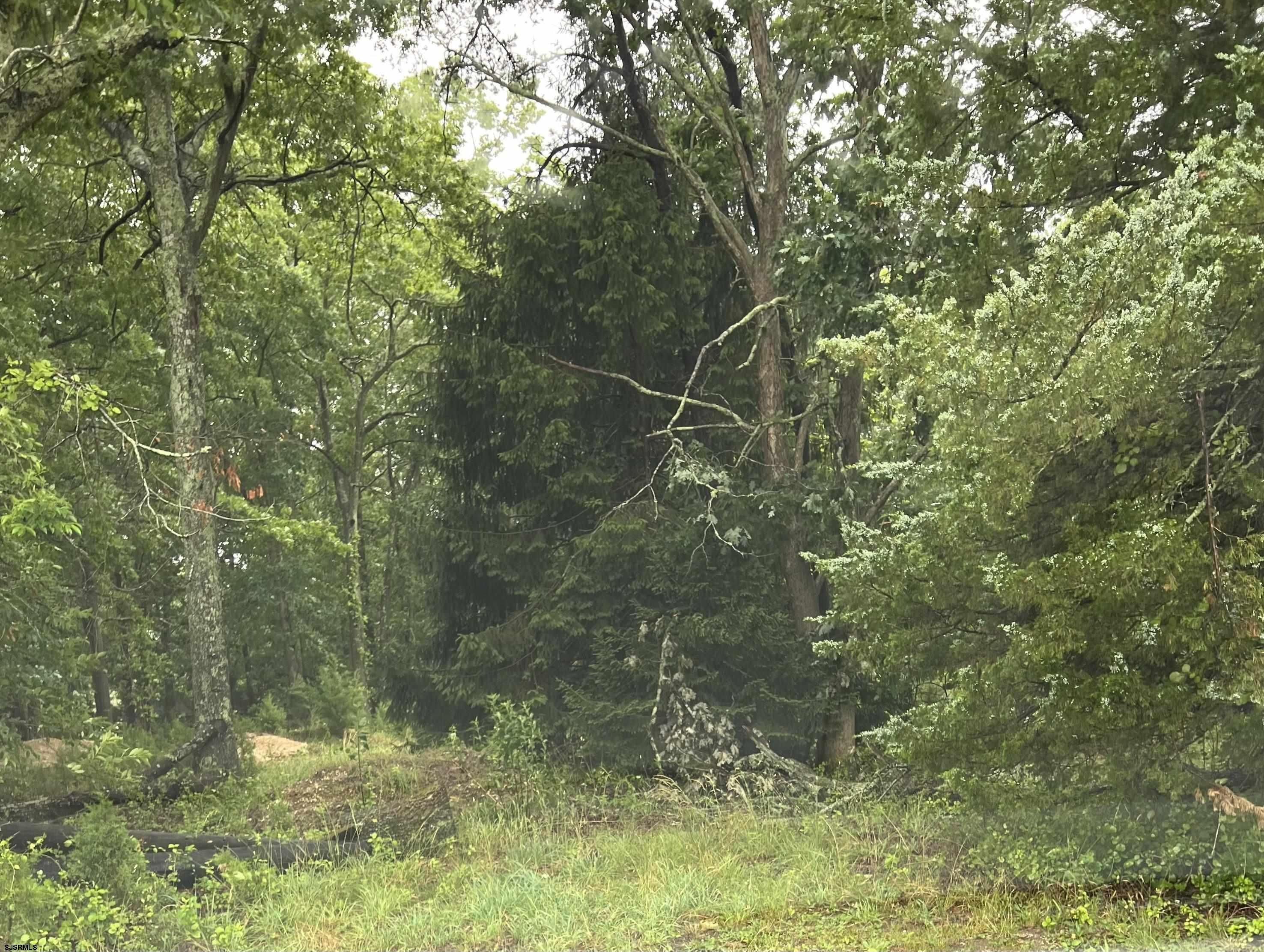 246 Crestview Avenue Galloway Township NJ 08205