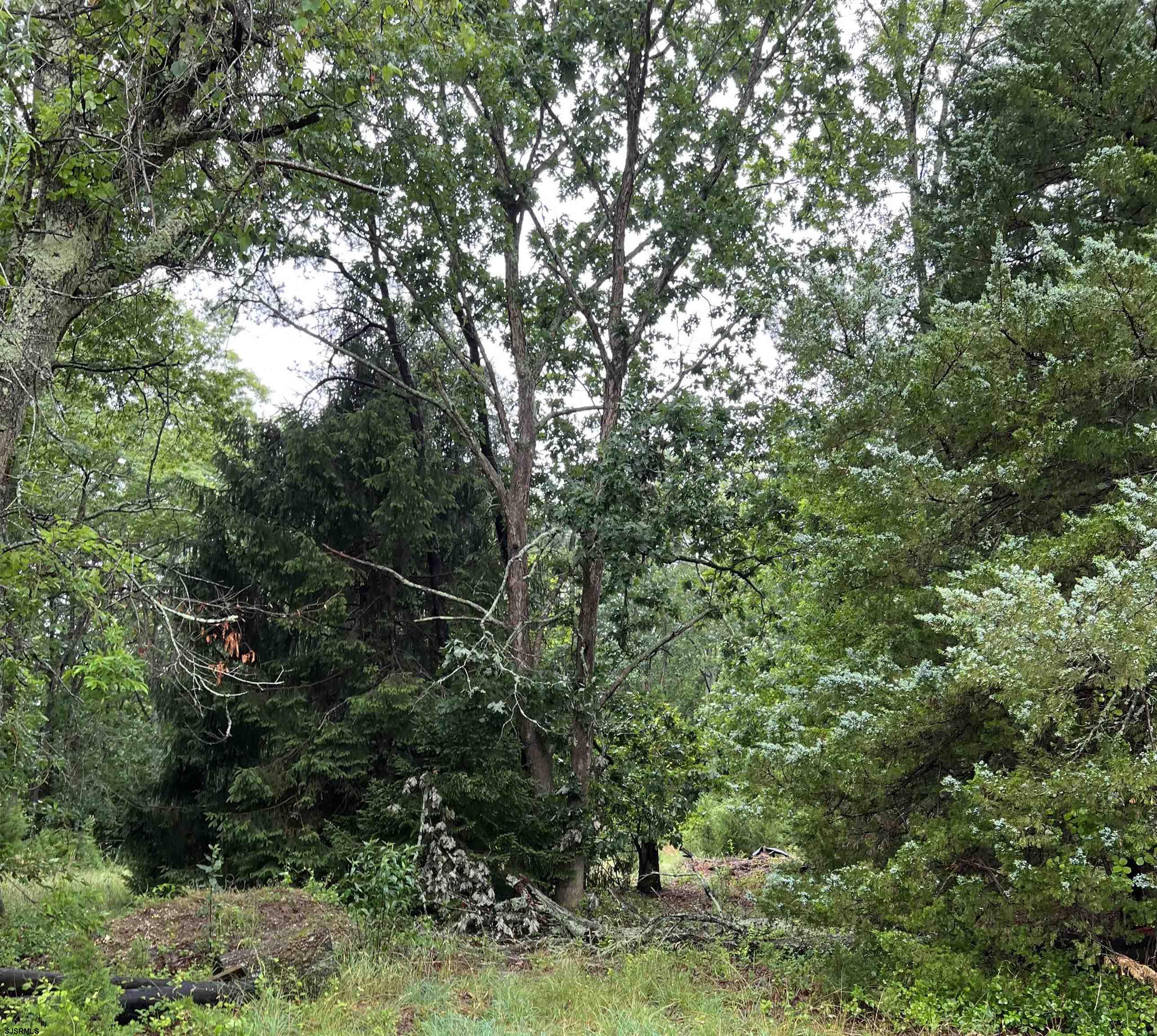 246 Crestview Avenue Galloway Township NJ 08205