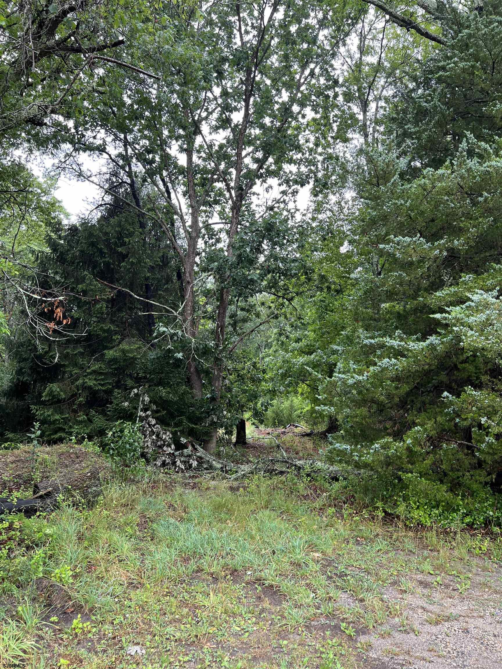 246 Crestview Avenue Galloway Township NJ 08205