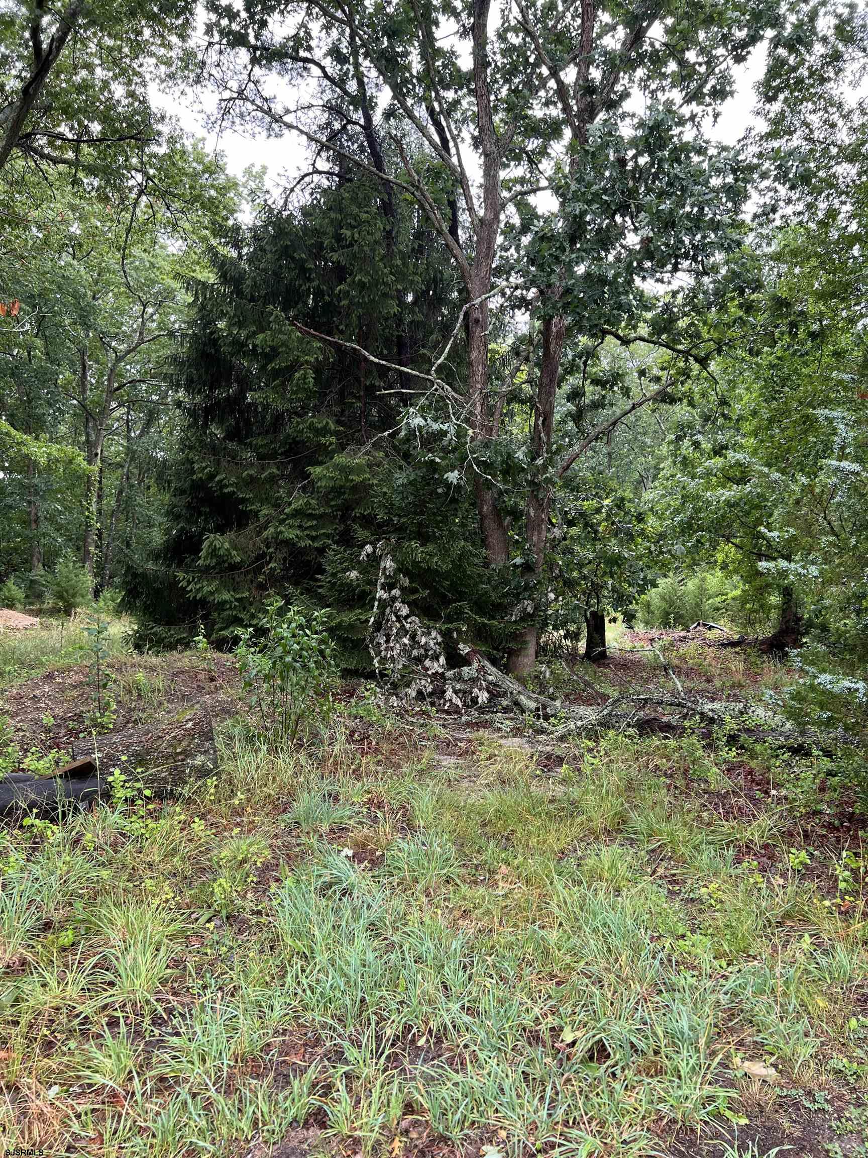 246 Crestview Avenue Galloway Township NJ 08205