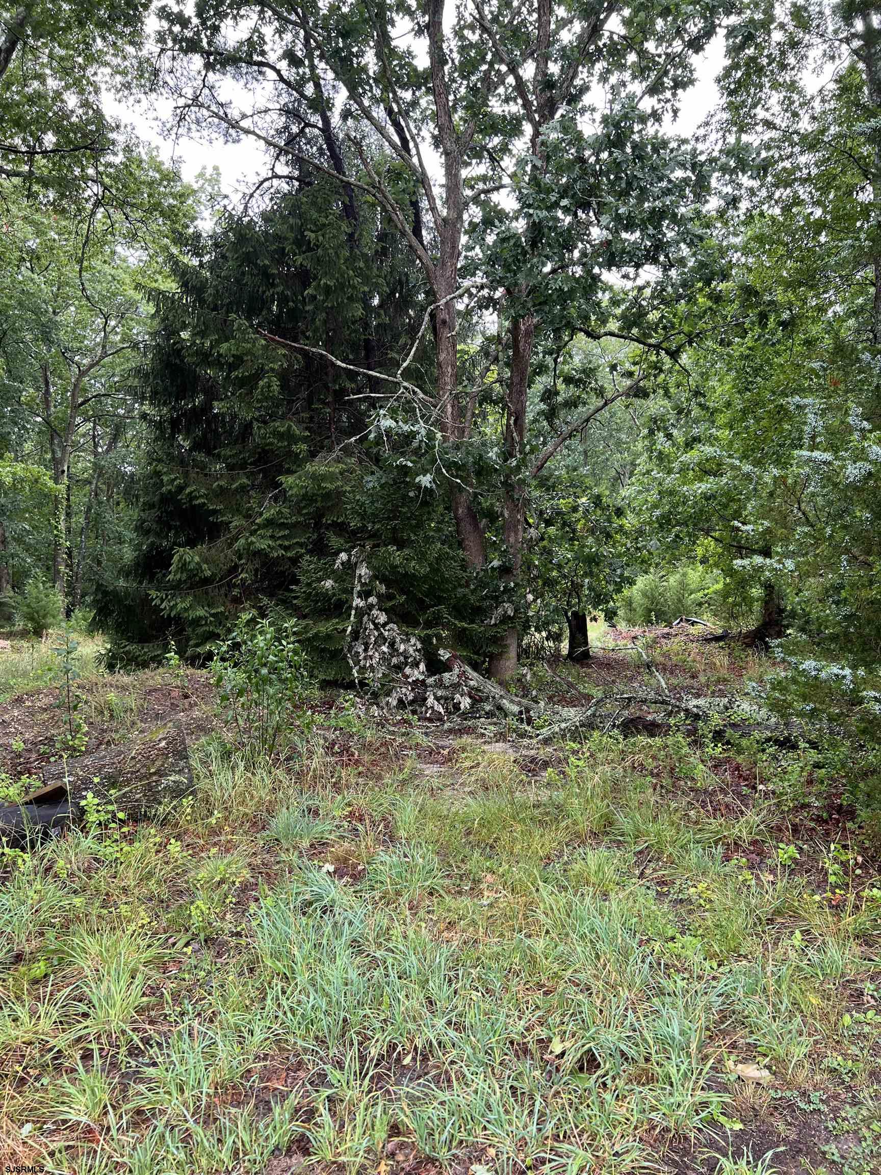 246 Crestview Avenue Galloway Township NJ 08205