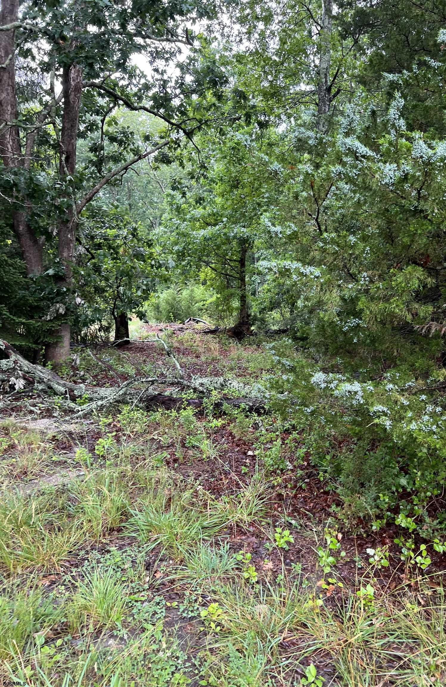 246 Crestview Avenue Galloway Township NJ 08205