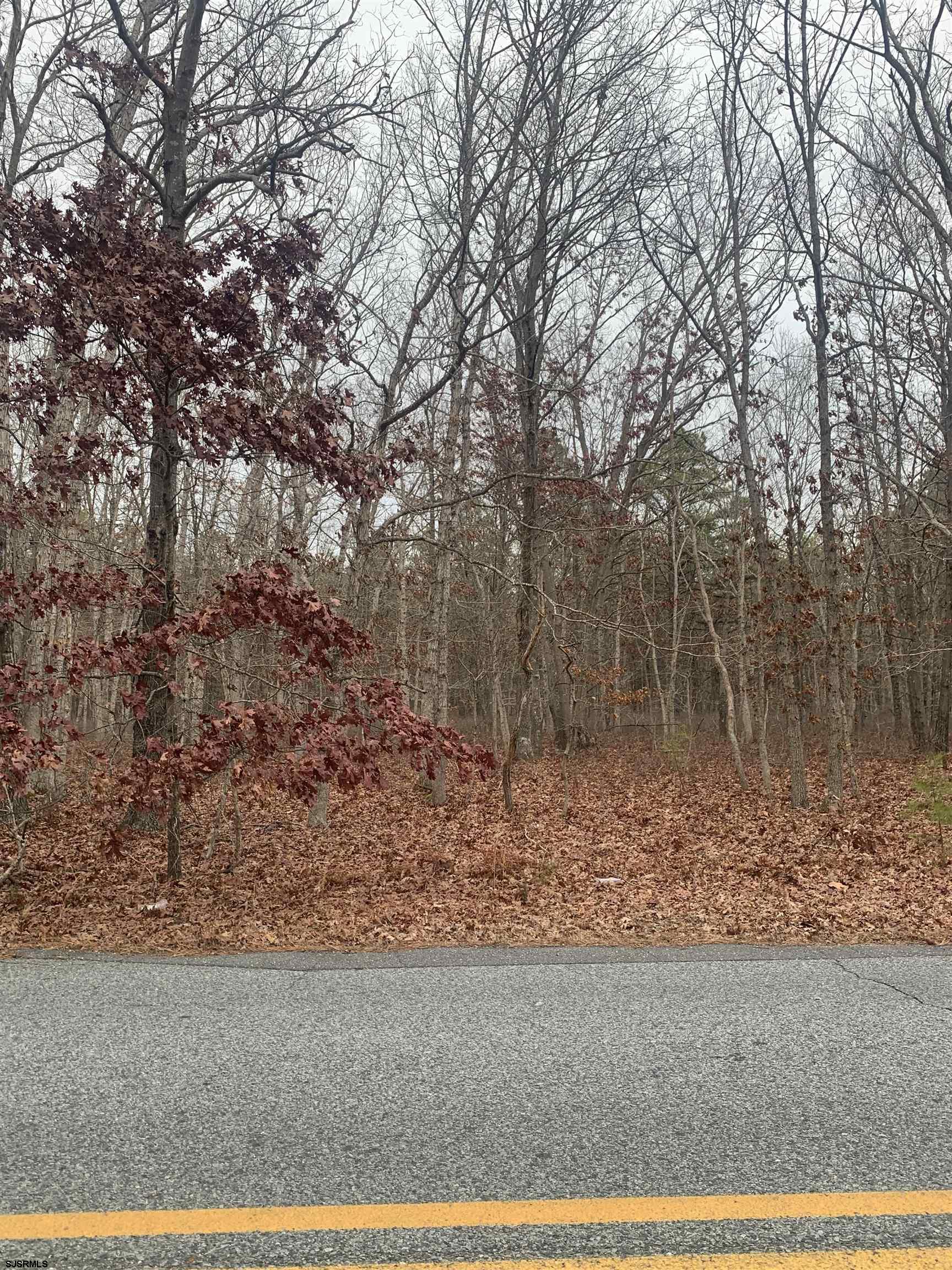 662 Dogwood Avenue Egg Harbor Township NJ 08234