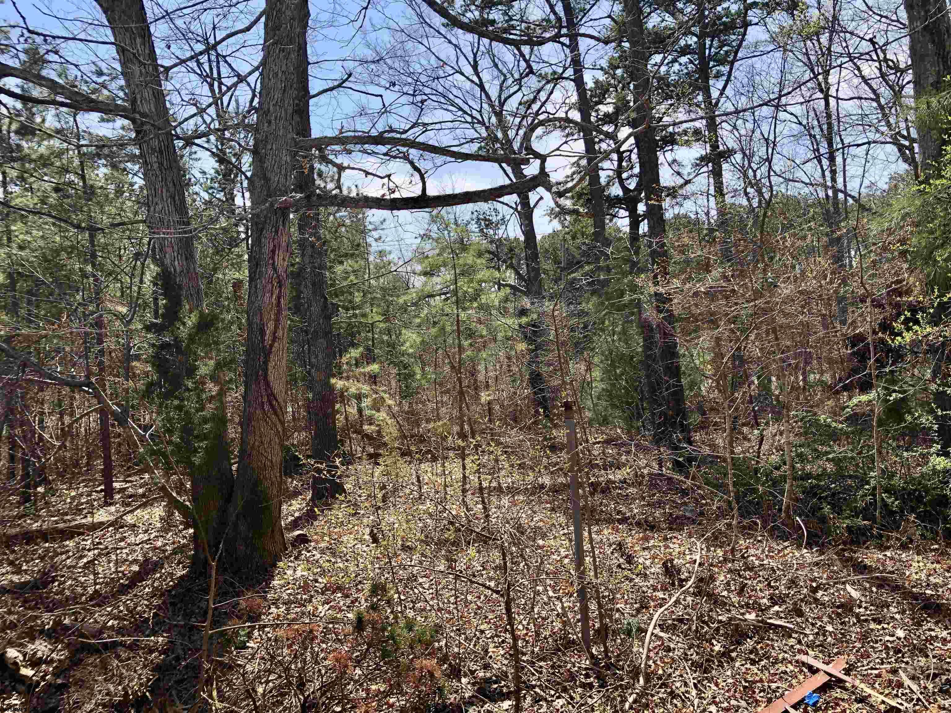 45 W White Horse Galloway Township NJ 08205