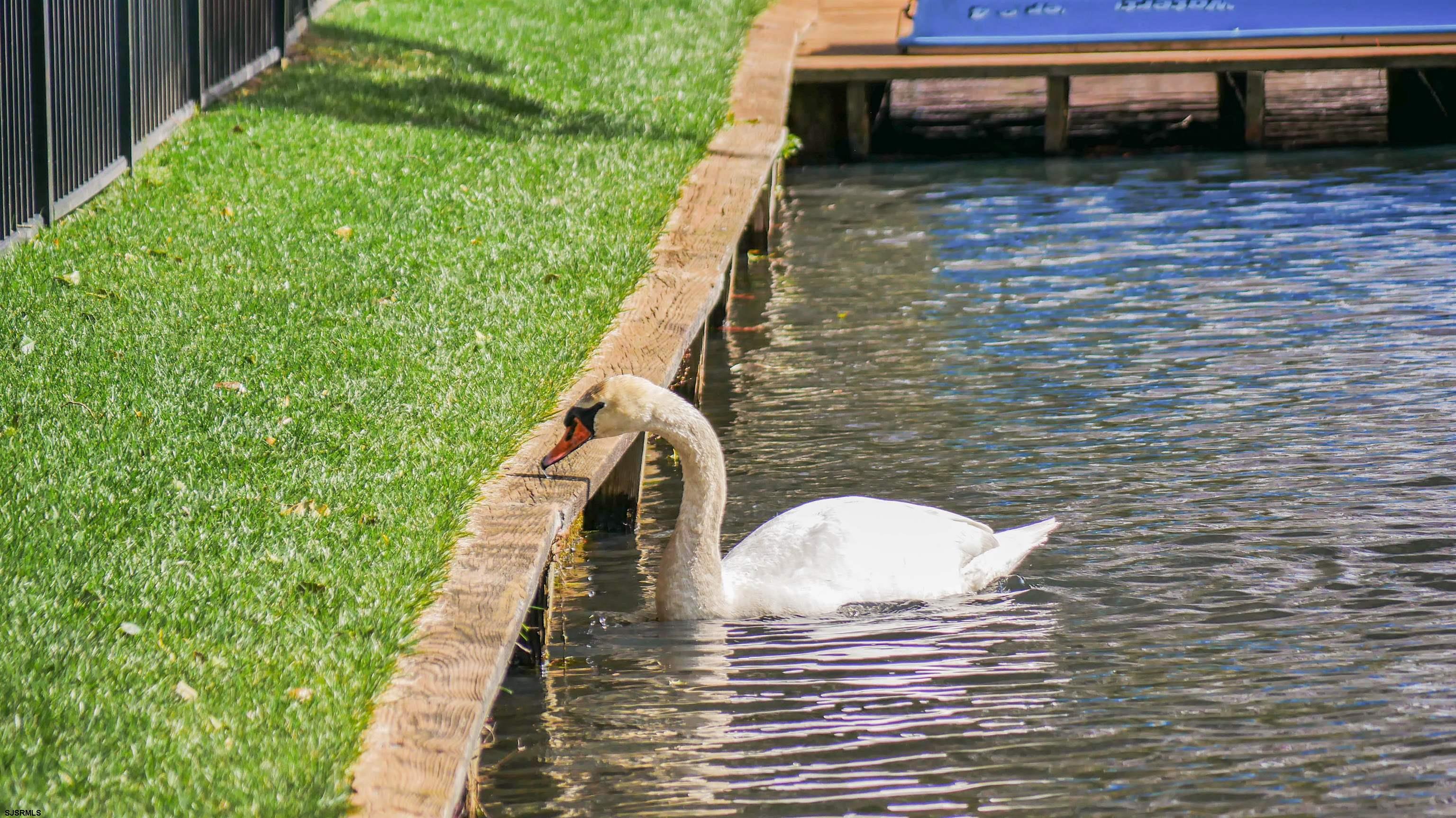 12 May Drive Egg Harbor Township NJ 08234