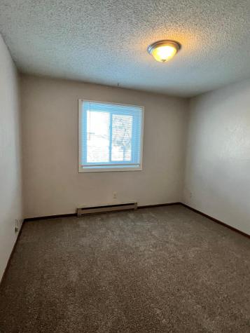 207 And 213 9th Avenue Madison MN 56256