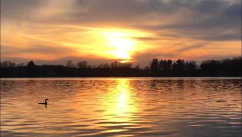 51097 E Wymer Lake Road Frazee MN 56544