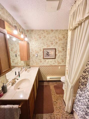 18 E Central Street Springfield MN 56087
