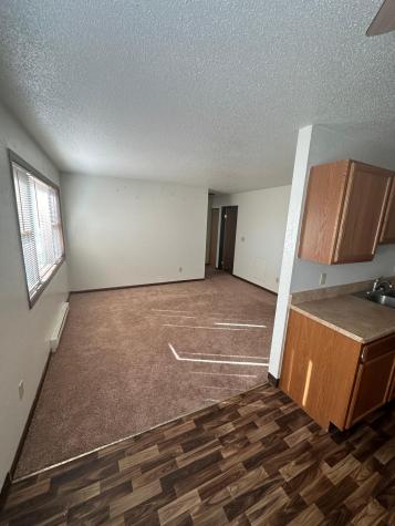 107 & 115 Brown Avenue Lisbon ND 58054