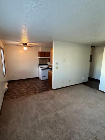 107 & 115 Brown Avenue Lisbon ND 58054