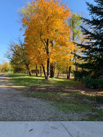 21168 Klein Road Detroit Lakes MN 56501