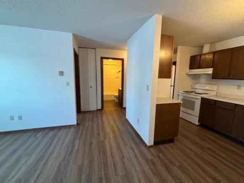 601 & 603 Main Street Oklee MN 56742