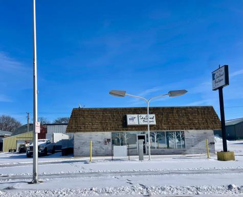 101 N Cass Avenue Springfield MN 56087