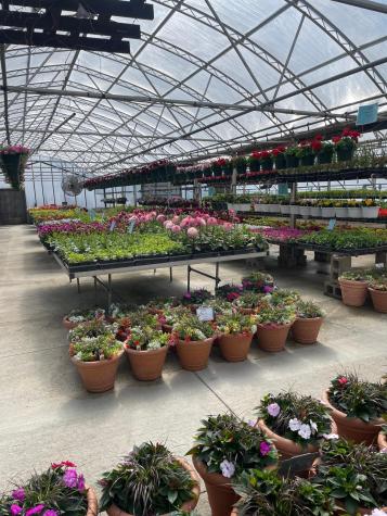 2311 S Broadway Street Alexandria MN 56308