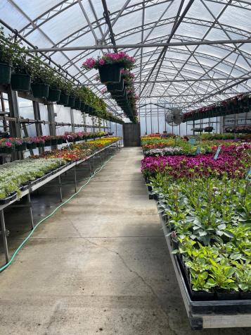 2311 S Broadway Street Alexandria MN 56308