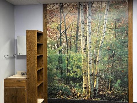 117 E Lincoln Avenue Fergus Falls MN 56537