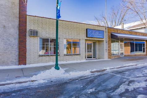 223 Elm Street W Norwood Young America MN 55368