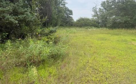 16396 State Highway 371 Brainerd MN 56401
