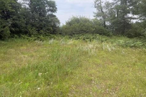 16396 State Highway 371 Brainerd MN 56401