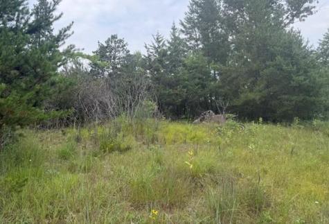 16396 State Highway 371 Brainerd MN 56401