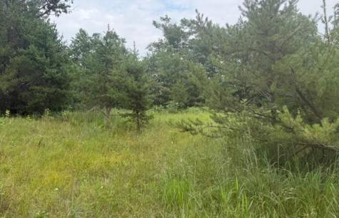 16396 State Highway 371 Brainerd MN 56401