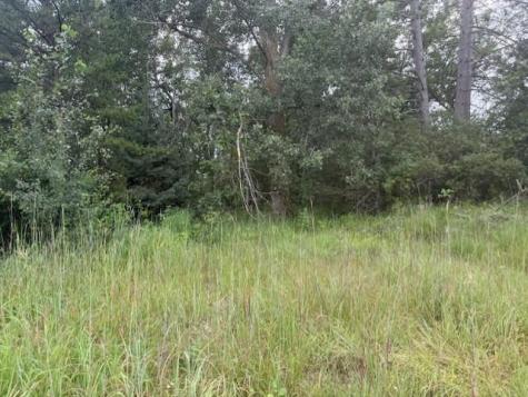 16396 State Highway 371 Brainerd MN 56401