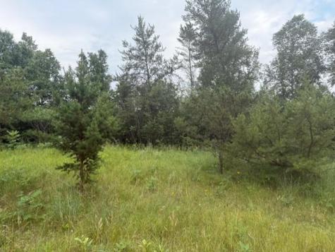 16396 State Highway 371 Brainerd MN 56401