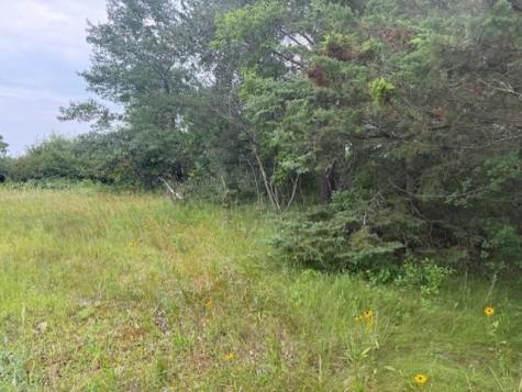 16396 State Highway 371 Brainerd MN 56401