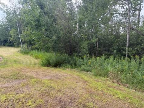 16396 State Highway 371 Brainerd MN 56401