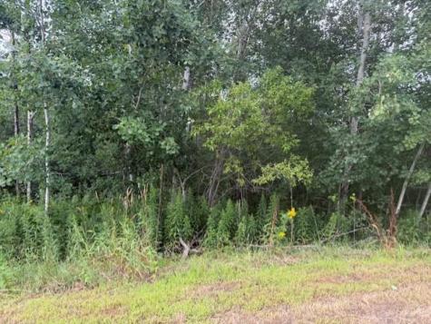 16396 State Highway 371 Brainerd MN 56401