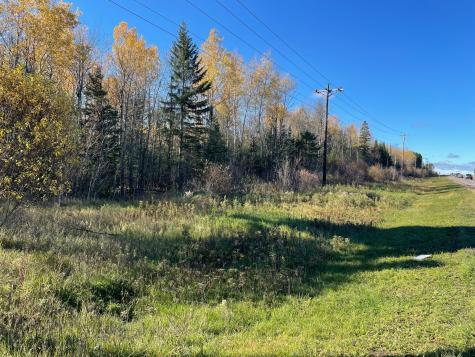 Tbd Miller Trunk Highway Hermantown MN 55811