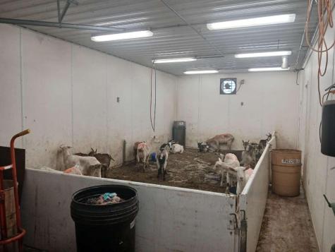 801 E Highway 212 Hector MN 55342