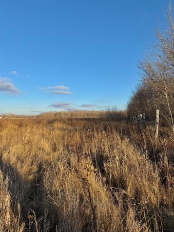 14840 59 Highway NE Thief River Falls MN 56701