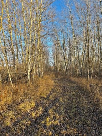 14840 59 Highway NE Thief River Falls MN 56701