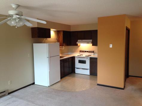 218 Minnesota Avenue NW Bemidji MN 56601