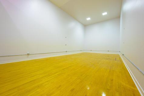541 8th Street E Hector MN 55342