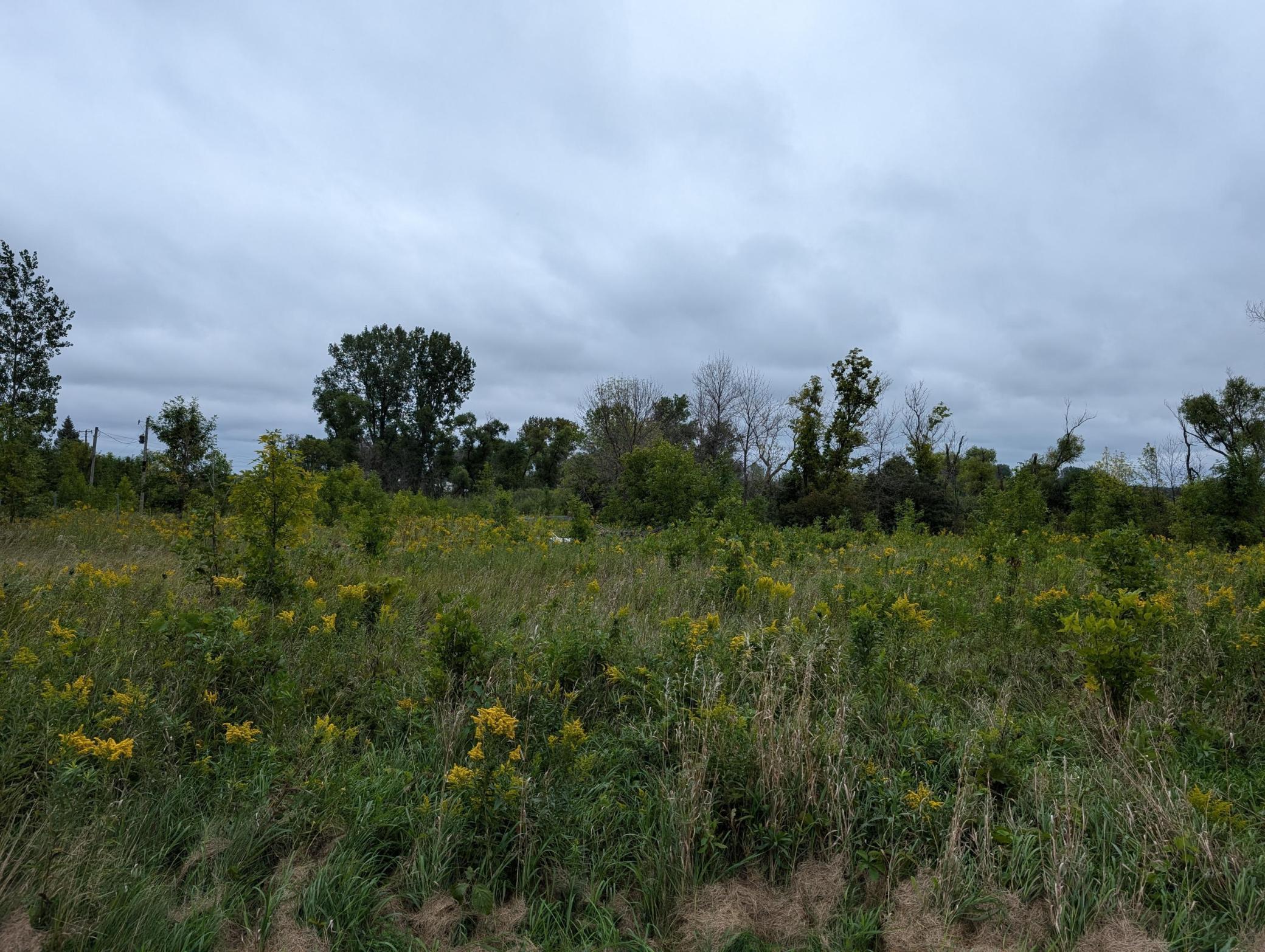 9500 145th Avenue NE Forest Lake MN 55025