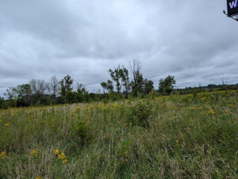 9500 145th Avenue NE Forest Lake MN 55025