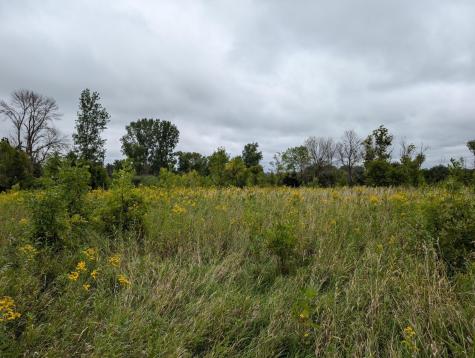 9500 145th Avenue NE Forest Lake MN 55025