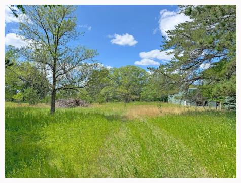1907 Norton Avenue NW Bemidji MN 56601