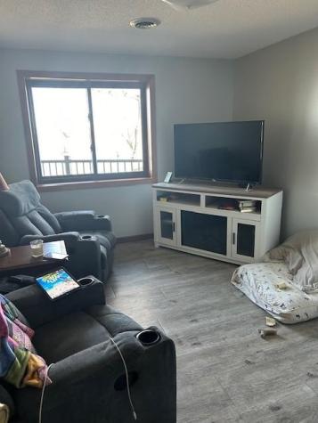 808 Lake Chapeau Drive Albert Lea MN 56007