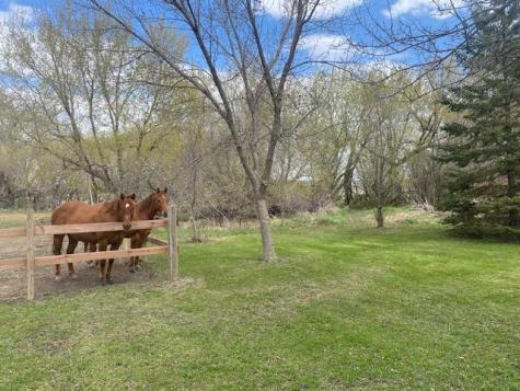 23382 60th Avenue S Hawley MN 56549