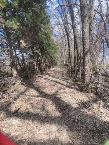 23382 60th Avenue S Hawley MN 56549
