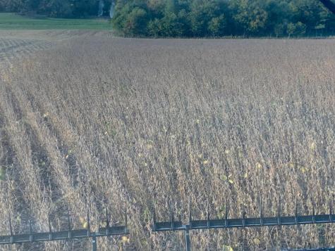 Tbd 430th Street Pelican Rapids MN 56572