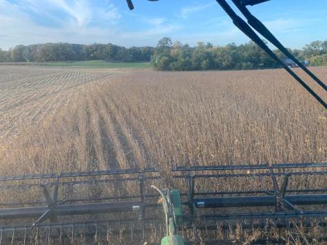 Tbd 430th Street Pelican Rapids MN 56572