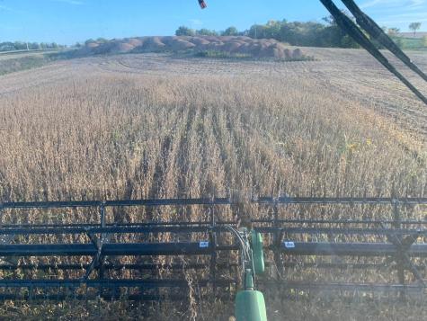 Tbd 430th Street Pelican Rapids MN 56572