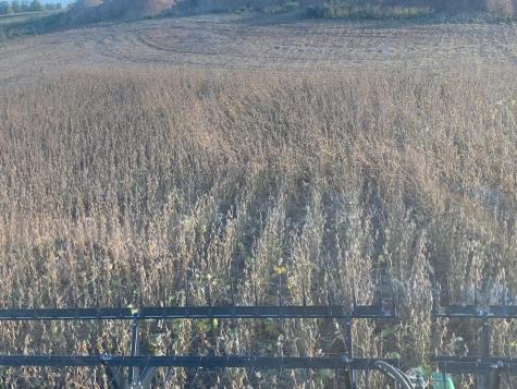 Tbd 430th Street Pelican Rapids MN 56572