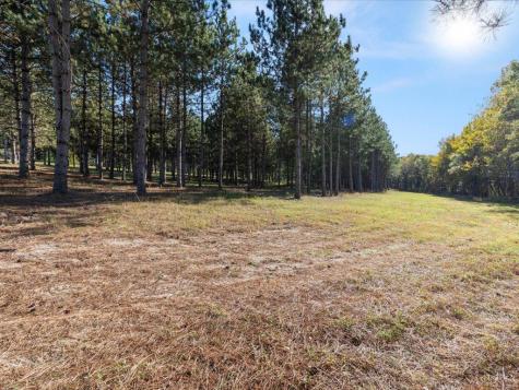 30091 Huntersville Road Sebeka MN 56477