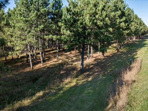 30091 Huntersville Road Sebeka MN 56477