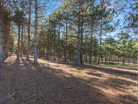 30091 Huntersville Road Sebeka MN 56477